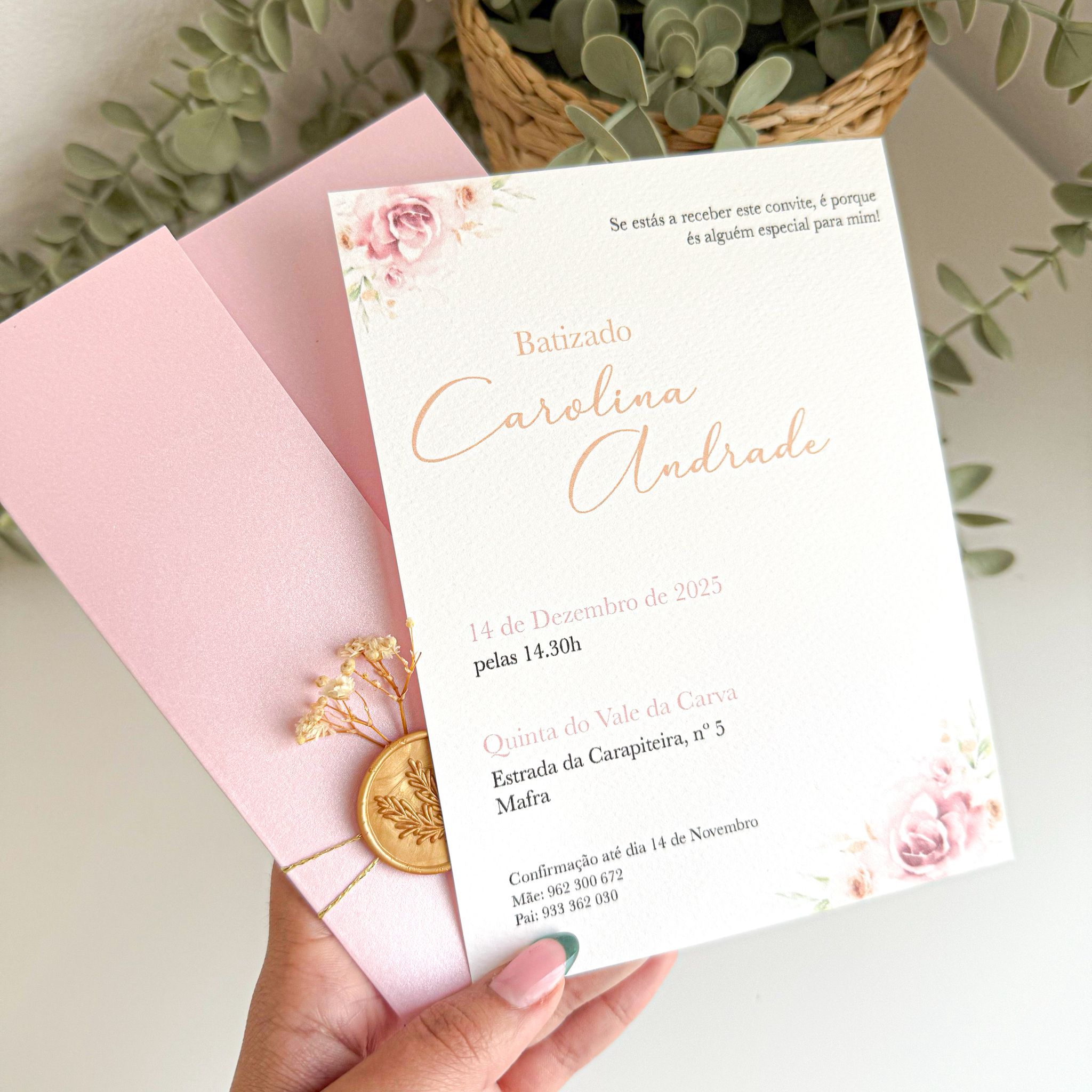 WhatsApp Image 2025-11-08 at 16.27.04